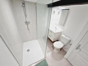 Appartements centre-ville Avesnes sur Helpe Duplex confort