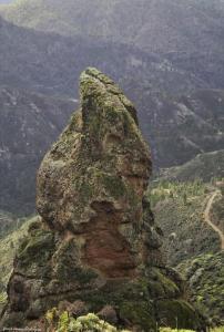 La Casita de Coco Tejeda