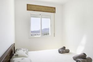 Appartement paisible