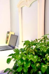 Louis Home 3 Bedroom Balcony