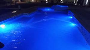 White Rhino apartments & tours