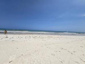 Tanah vikas Luxury 1BD in Aldea Zama Beach Access