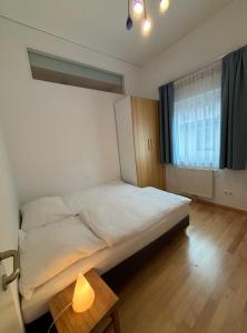 Wohnung im Zentrum von Schladming