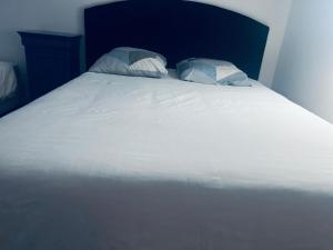 Spacieux et confortable appartement en résidence