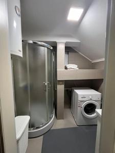 Potkrovlje Riki u centru Beograda