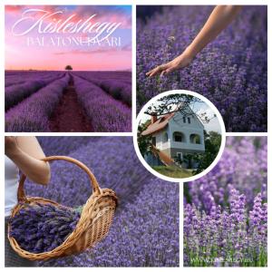 Kisleshegy Balatonudvari Vendégház