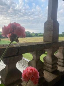 B&B / Chambres d'hotes Chateau de Cibioux : photos des chambres