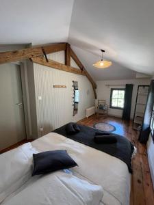 Maisons de vacances Gite chez Dame Jeanne : photos des chambres
