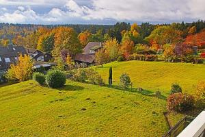 Kaminfeuer Hahnenklee - Ausblick bis zur Stabkirche