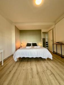 Appartements Loft avec parking centre Tours et bord du Cher Loire Valley : photos des chambres