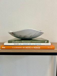 Appartements Loft avec parking centre Tours et bord du Cher Loire Valley : photos des chambres