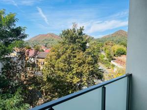 Grandview Central Residence