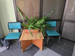 Transhostel Sweet Dream