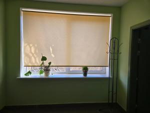 Transhostel Sweet Dream