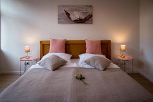 Cosel-Apartment-Meissen Altstadt Radfahrer Balkon WLAN