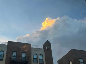 Bright Artist 2 Bedroom - One block from Prospect Park - Across from the train