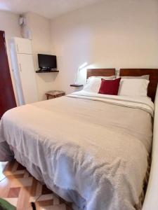 Self-contained cozy apartments in Miraflores