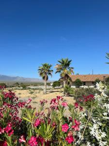 K7 Bed and Breakfast