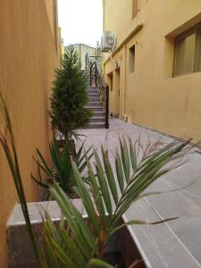 شقه فندقيه مفروشه