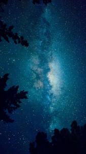 Cabaña entre bosque y mar