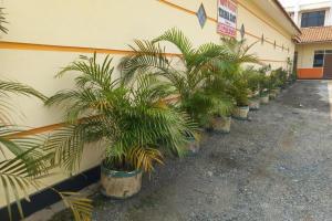 Hotel O Guest House Wijaya Syariah Near alun alun kota purwokerto