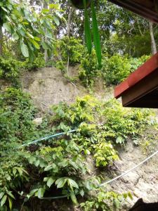 The Rock Hut