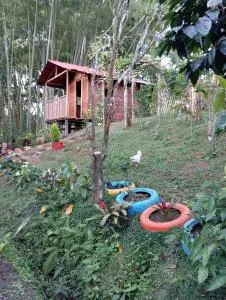 Ecoturismo BRISAS DÉ LA RESERVA - Yotoco