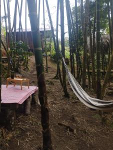 Ecoturismo BRISAS DÉ LA RESERVA