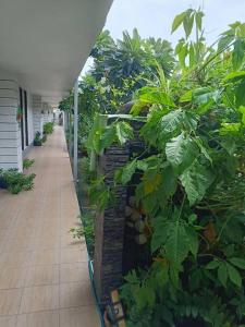 Pool Villa @Donmueang