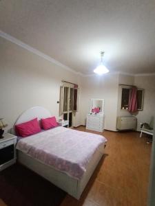 Egyptian Grand Museum View - Pyramids