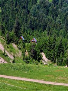 არწივის ბუდე eagles nest