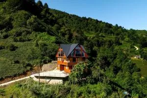 Villa Emir - İsmailoğlu