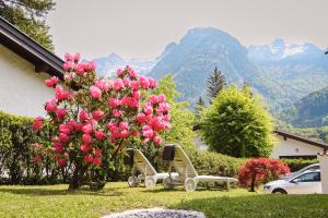 Ferienhaus am Schwarzerberg