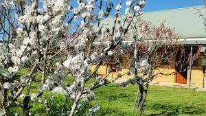 Kathmandu Farmstay - Pool Table, Ping Pong, Bicycles, PlayStation, Netflix, close to Bathurst and Mayfield Garden - Burraga