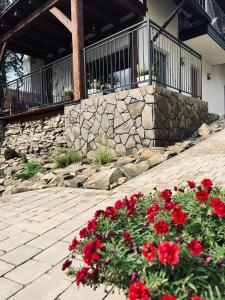 Domki Pienińskie Tarasy