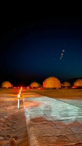 Wadi rum Wild life camp