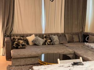 Amazing Mangroovy 1 BD in gouna