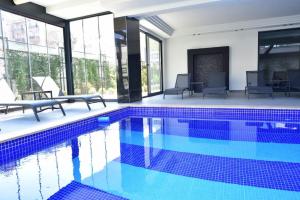 Cleopatra Legacy - Besthome 26