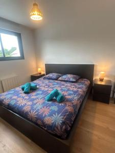 Villas Chez Katerina - Plomeur proches plages : photos des chambres