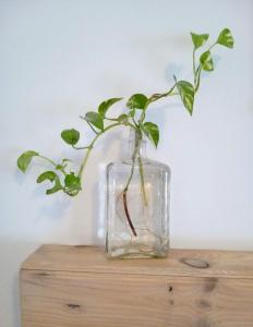 Apartamento San Agustín