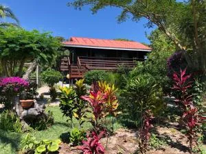 Mar de las Calmas - 伊尼亚卡岛