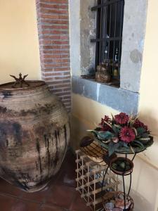 Cottage with Amazing View - Capo dOrlando