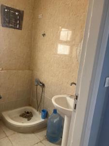 Mina resort ras sudr