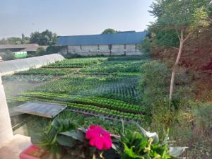 B&B / Chambres d'hotes Ferme de la riviere Bourdet : Chambre Double - Vue sur Jardin
