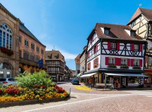 Appartements Studio 27 - Studio Elegant et Lumineux au Centre d-Obernai : photos des chambres