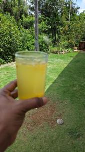 Madu's Mountain View Home