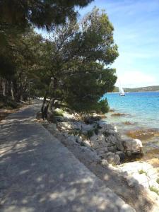 Vila Regina Apartment Rex with Swimming Pool