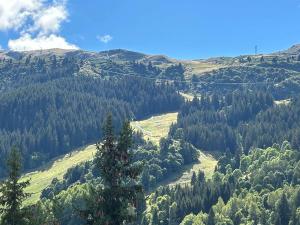 Grand appartement contemporain 10 pers, proche pistes et centre, ascenseur et Wifi inclus - FR-1-180-636