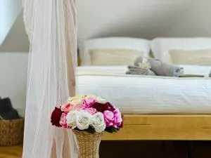 STUDIO KRÁLOVICE Apartment - 日恰尼