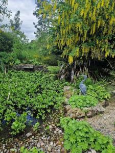 Home in County Wicklow Unique Escape